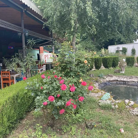 Palm 4* Altın Kumlar