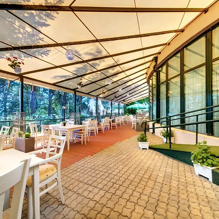 Palm Hotel Goudstrand