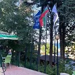 Palm Златни пясъци
