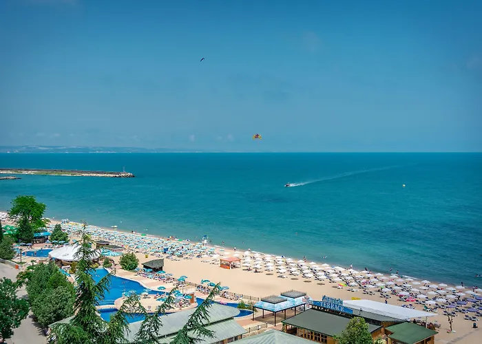 Palm Hotel Goudstrand