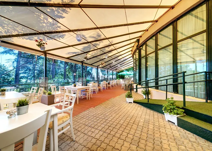 Palm Hotel Goudstrand